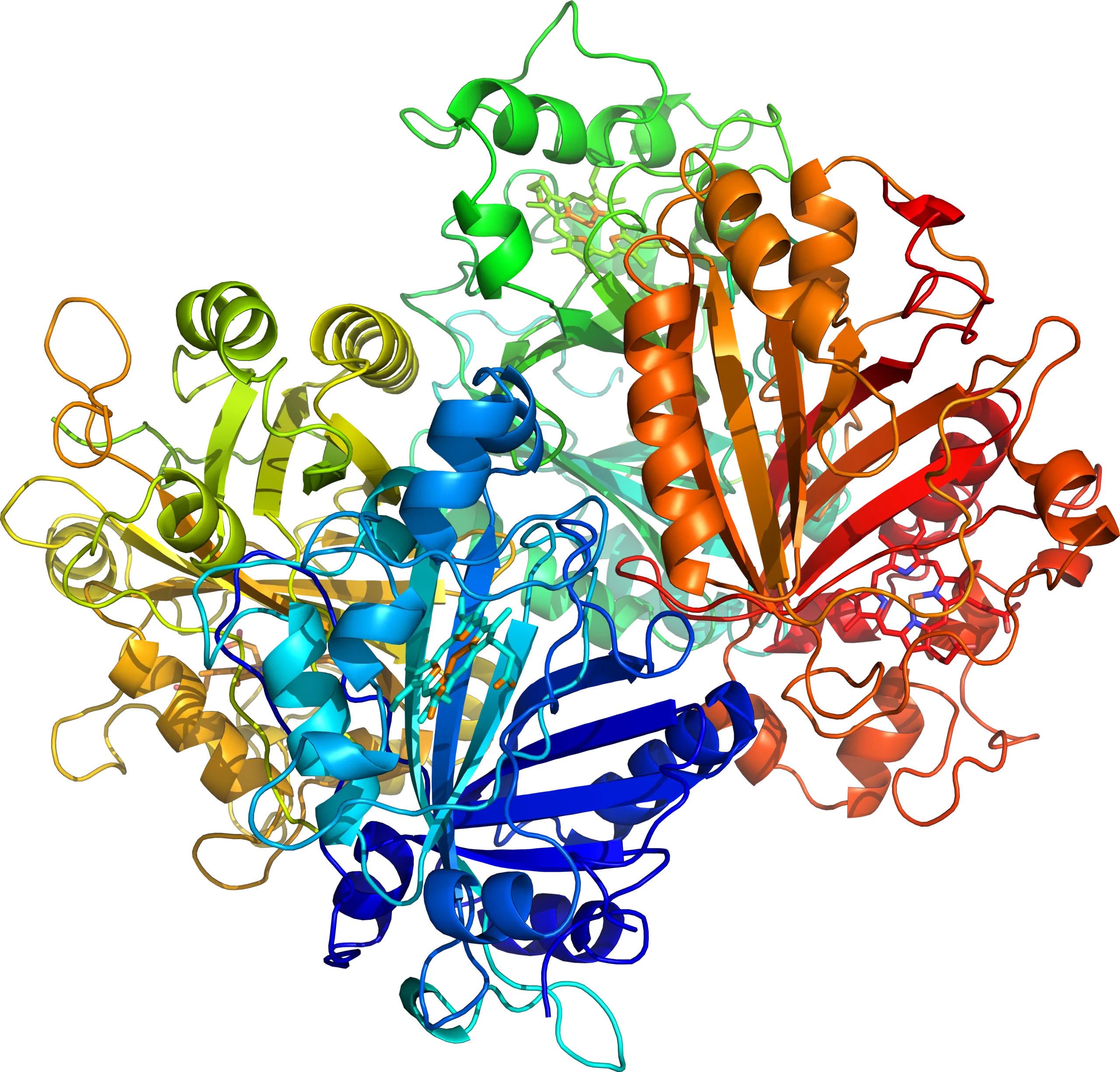 enzyme-3-trim Model of beautiful enzyme